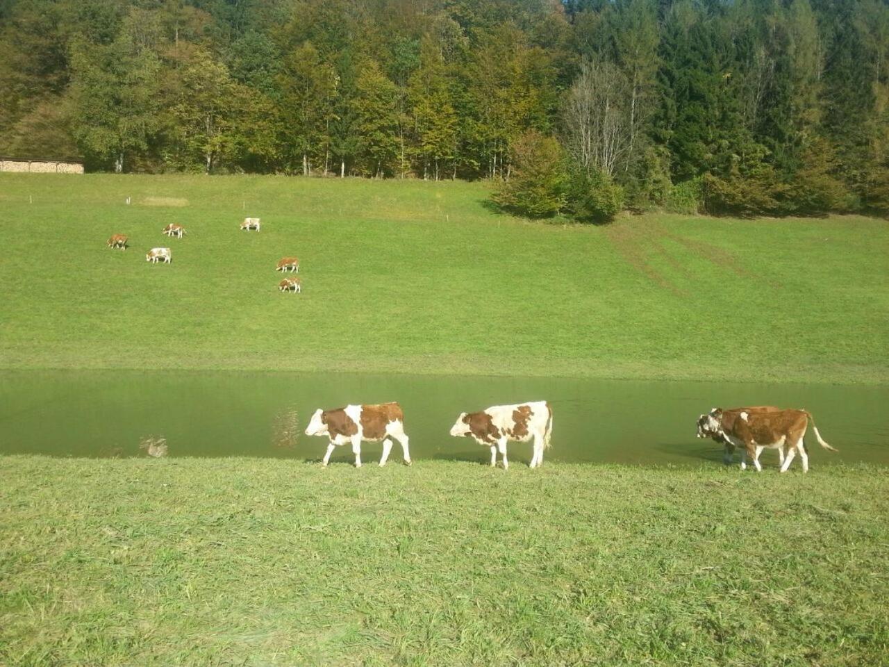Hauslhof *