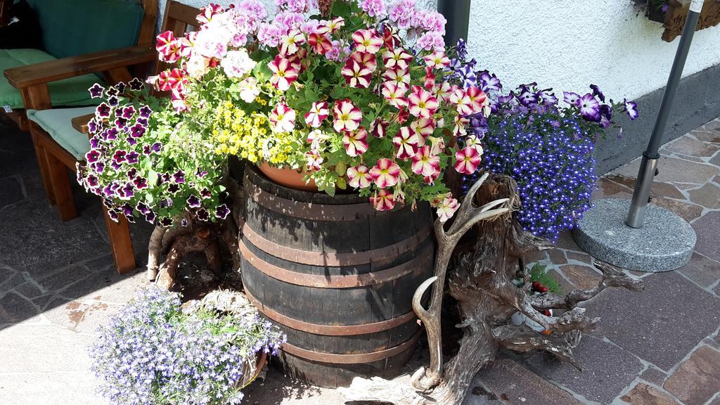 Bed & Breakfast Hauslhof