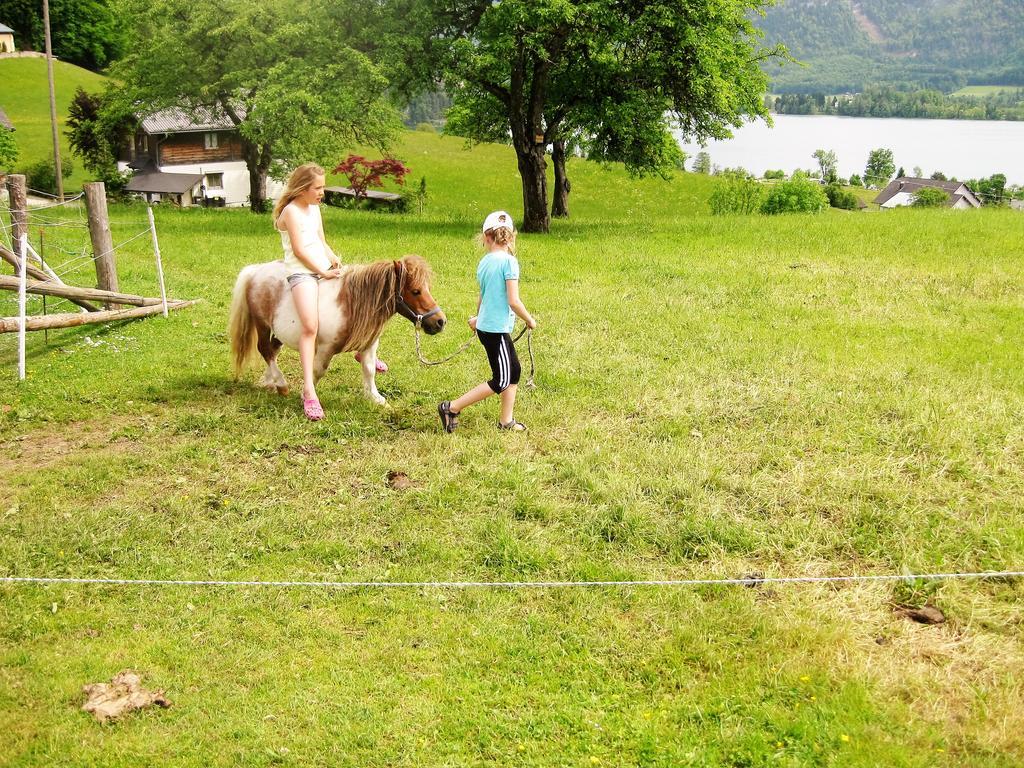 Bed & Breakfast Hauslhof Sankt Wolfgang im Salzkammergut