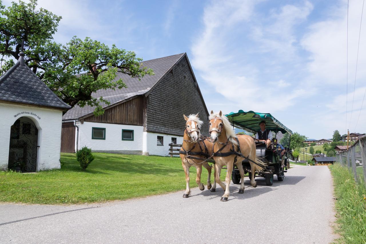 Hauslhof * Sankt Wolfgang im Salzkammergut