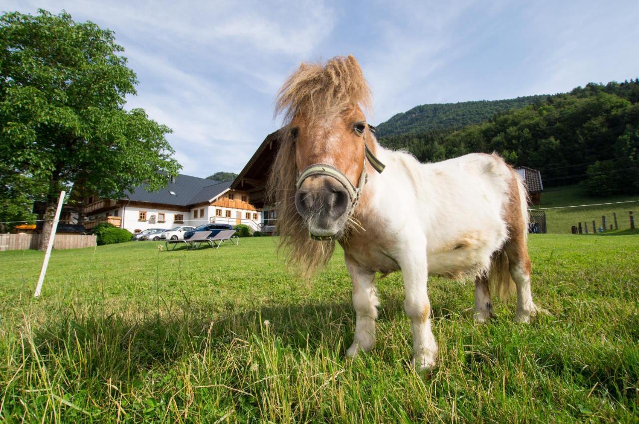 Bed & Breakfast Hauslhof *