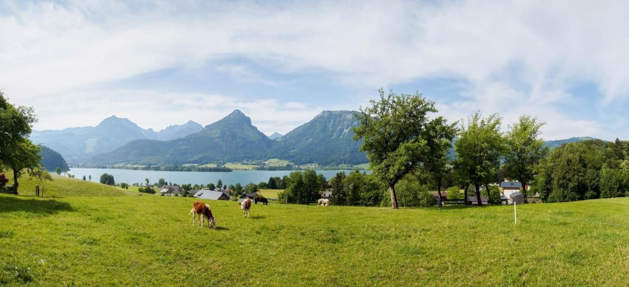 Hauslhof * Sankt Wolfgang im Salzkammergut